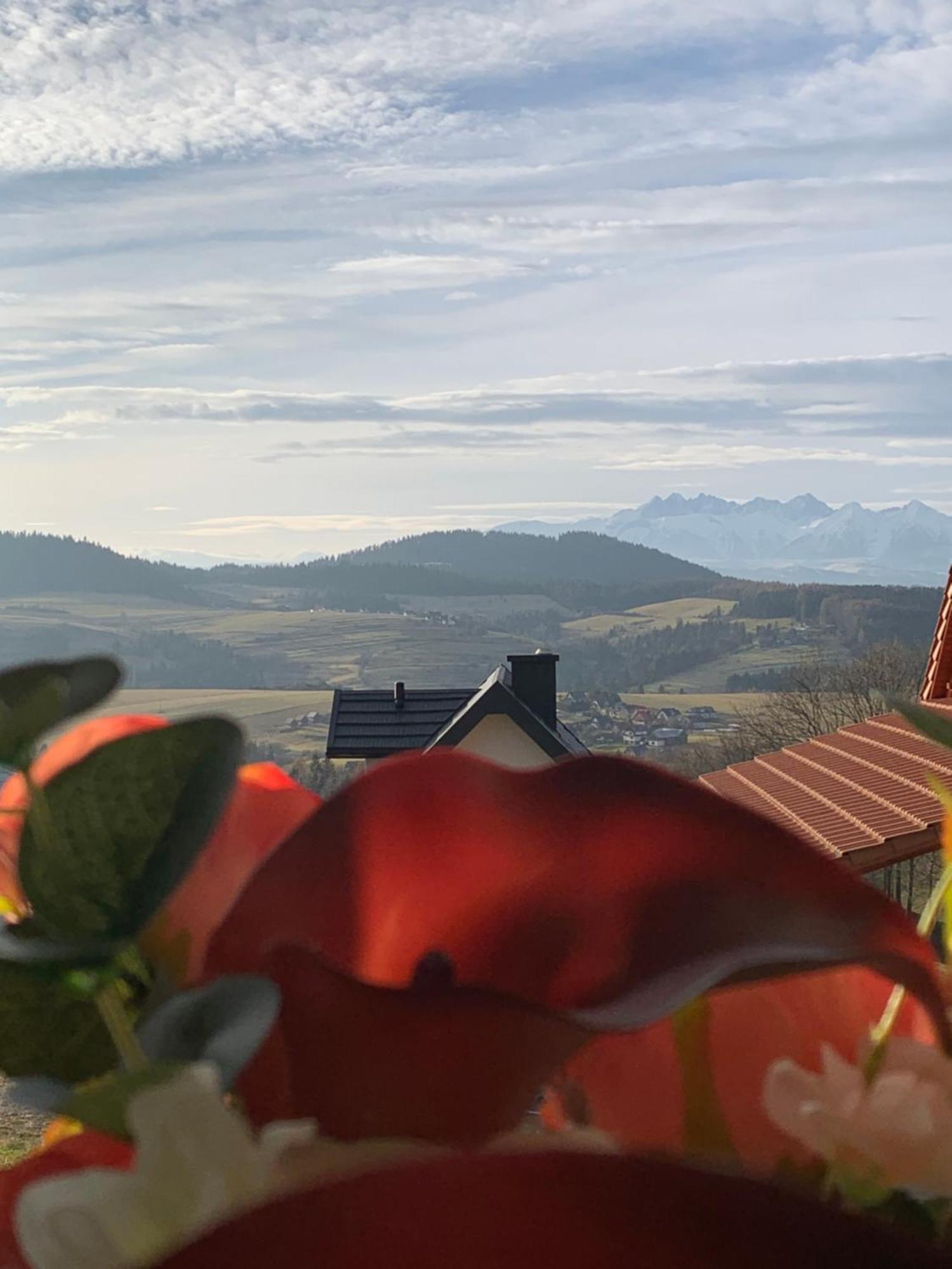 Ferienhaus Aura *
